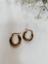 Load image into Gallery viewer, Tessa Tube Hoops
