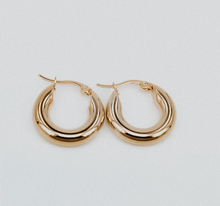Load image into Gallery viewer, Tessa Tube Hoops