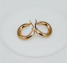 Load image into Gallery viewer, Tessa Tube Hoops
