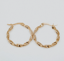 Load image into Gallery viewer, Twist Rope Hoops